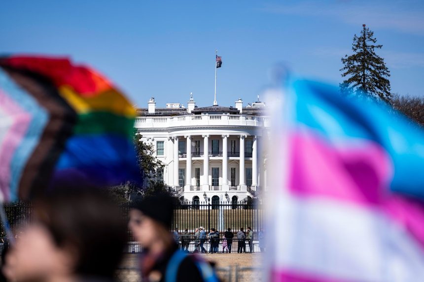 Andrew Thomas/NurPhoto/AP